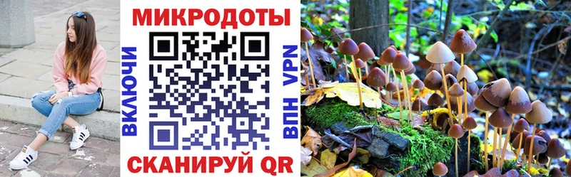 Галлюциногенные грибы ЛСД даркнет наркотические препараты Щёлкино